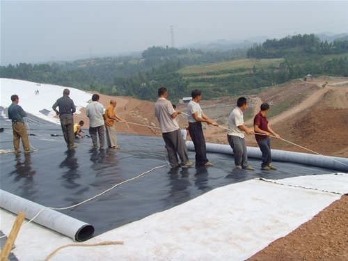 Industrial HDPE Geomembrane 0.2mm -3mm for Waste Purification in 's Industrial Sector