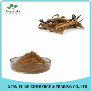China Tibet Wild Cordyceps Sinensis Extract with 10 %- 50 % Polysaccharides on sale