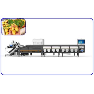 Buy cheap High Speed Dates Sorting Machine Optical 6.3KW 380V 6 Lanes from wholesalers