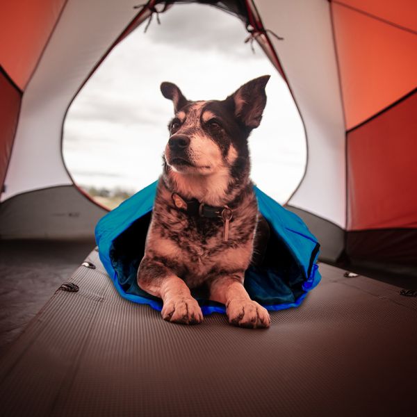 ISO9001 Polyester Lining 0.7 lbs Pet Sleeping Bag