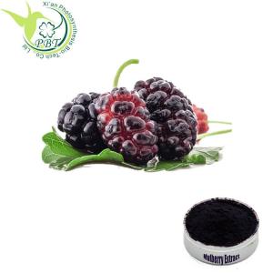 China Colorant Cosmetic Mulberry Fruit Water Soluble Herbal Extracts 5% Anthocyanin Herb Extract on sale