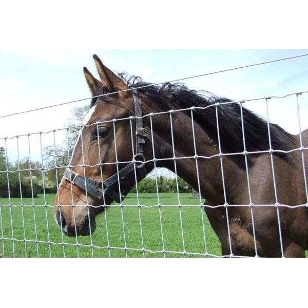 Corrosion Resistance Hinge Joint Wire Mesh Used As Field Fence High Strength
