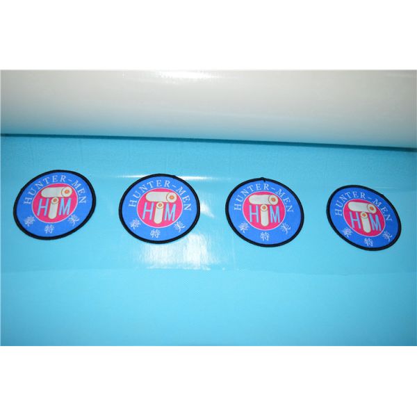 Double Sides 0.08mm 0.1mm Hot Melt Adhesive Sheets ISO9001