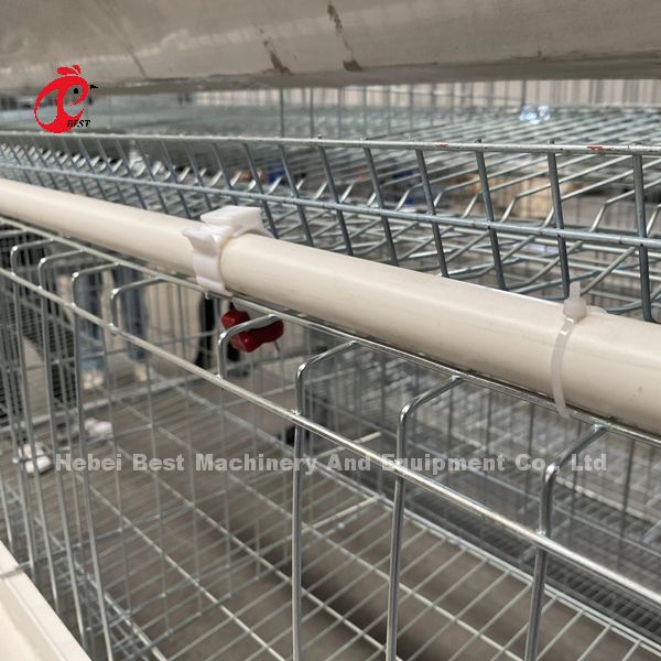 Toughness House Design Laying Chicken Battery Cage System With Cage Mesh Iris