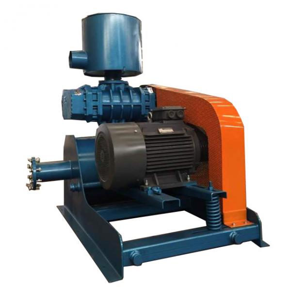 Buy Positive Displacement High Pressure Roots Blower Vacuum Pump at wholesale prices