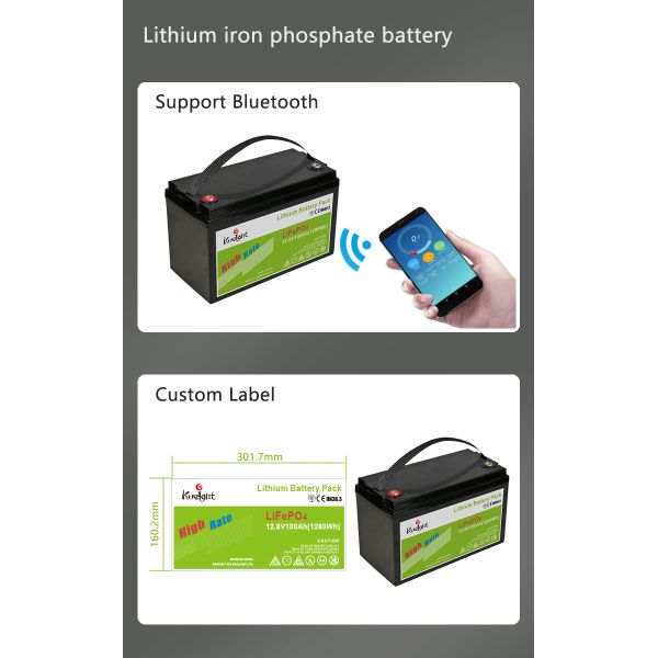 100ah 12V LiFePO4 Battery Lithium Pack For Home Appliances Use