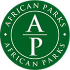 Drone Signal Jamming On Vehicle Mounted Anti FPV UAV