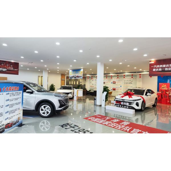 Energy Vehicles BYD Seagull EV 2024 Energy Type 100% Electric Car Lithium Battery