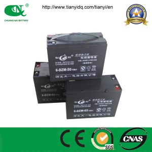 Quality 48V50ah Maintenance Free Sealed Lead Acid Power Battery Pack for sale