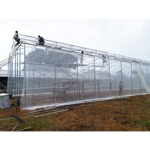 150 Micron Single Span Greenhouse Plastic Film Greenhouse Natural Ventilation