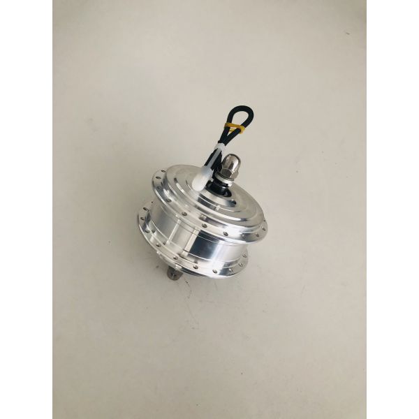 12 Volt 13 Axis 19.5 Dc E Bike Motor Fat Tire Electric Bike Accessories Ebikes