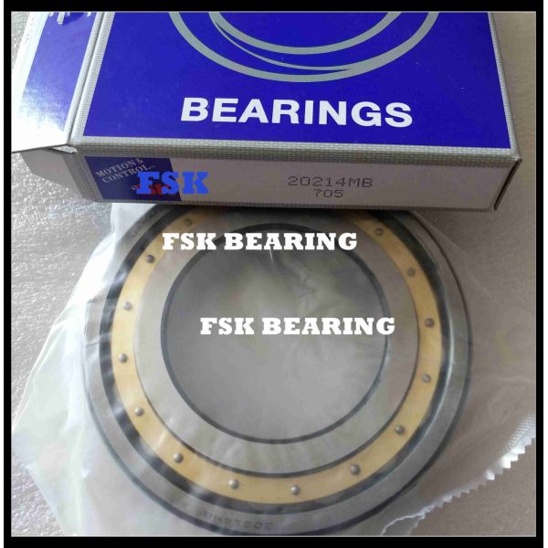 20214MB Single Row Spherical Roller Bearing Self Aligning Roller Bearing With Brass Cage