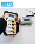 Handheld 5-gear speed rotation selection switch type crane wireless remote