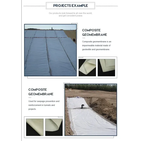 Composite Geomembrane With Two Layers Geotextile One Layer Geomembrane For Landfill Tailings Treatment Subway Tunnel Construction