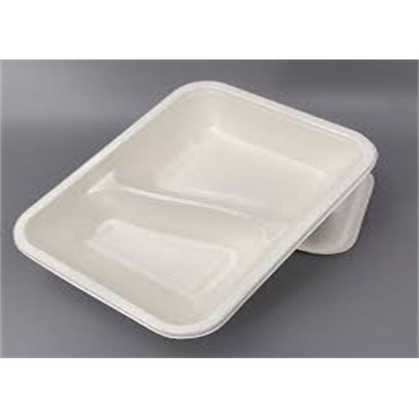 Thermoforming Biodegradable Plastic Sheet Polylactic PLA Disposable Food Containers