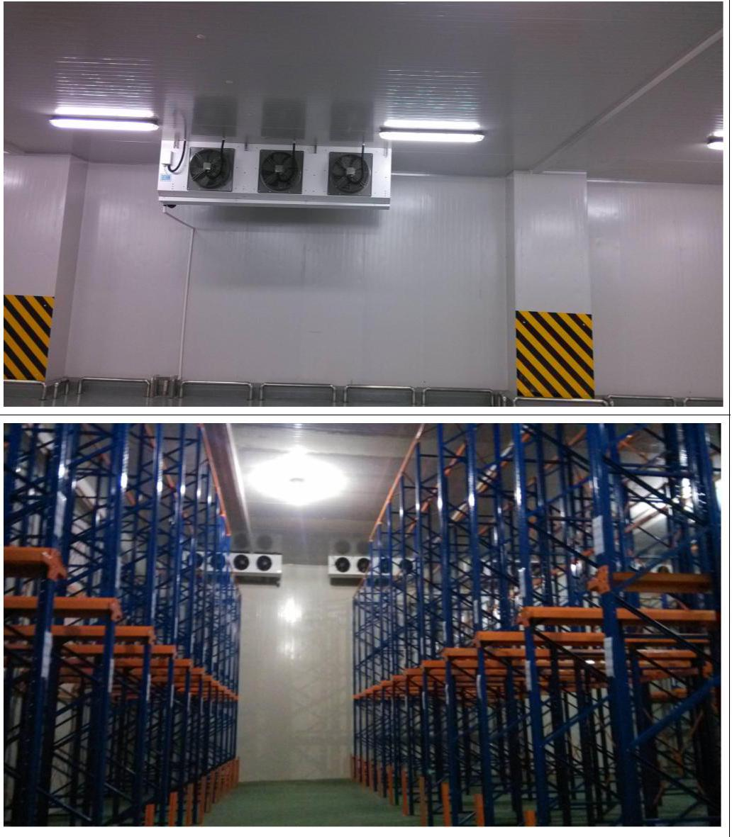 Customized Light Pre Engineered Steel Building Cold Room Steel Storage Warehouse