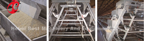 A H Type Adult Commercial Chicken Battery Cages For Laying Hens Star