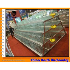 Quality High quality poultry farm equipment for sale for sale