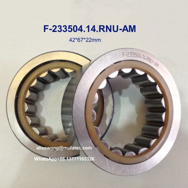 F-233504.14.RNU-AM Cylindrical Roller Bearings 42x67x22mmfor Automotive Transmission Part