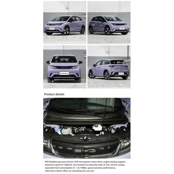 Compact Pure Electric EV Cars SUV BYD Dolphin New Energy Vehicles