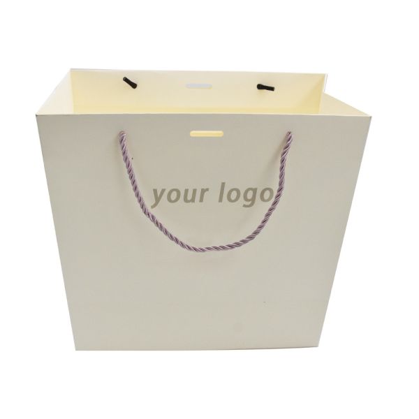 Recyclable Small Red Kraft Custom Paper Shopping Bags With Handle