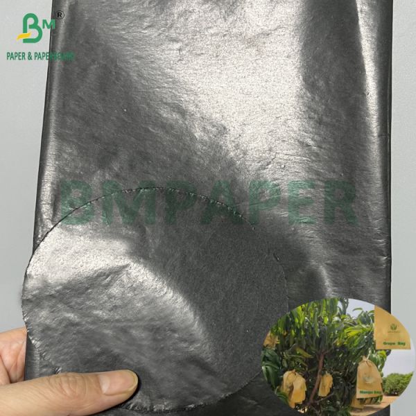 Mango Growing Protection Bag Glossy 30gsm Inner Black Paper Roll Sunproof