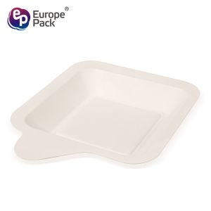 Eco friendly biodegradable tableware cheap disposable square cake dishes plates