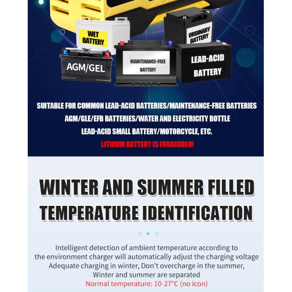 12V 24V PWM Intelligent Lead Acid Battery Charger ISO9001