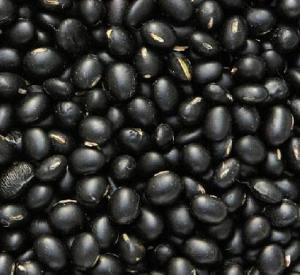 China Black Soybean Hull Extract,Black Soybean Hull Extract Powder,Black Soybean Hull P.E. on sale