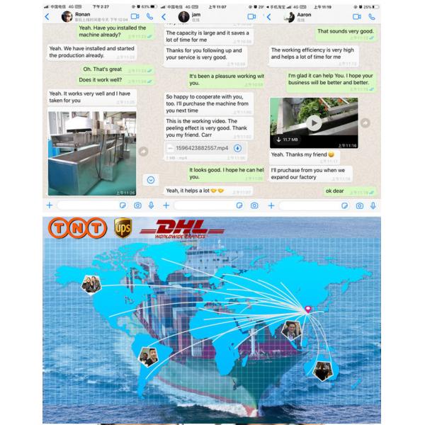 Automatic Roller Brush Nuts Soybean Potato Ginger Carrot Peeling Machine SGS