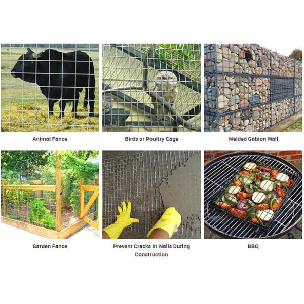 Heavy Welded Wire Mesh Oxidation Resistance , Galvanized Welded Wire Mesh Rolls