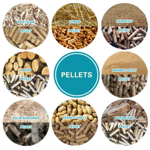 CE Wood Pellet Mill Plant Wood Shavings Wood Log Wood Pellet Mill Machine Heating