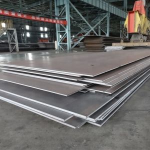 Carbon Steel Plate Aisi 1010 Hot Rolled Steel Coil