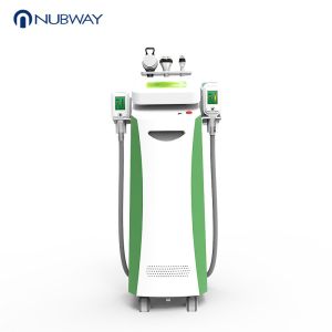 FDA / RoHS approved 5 treatment handle cryotherapy cryolipolysis system slimming
