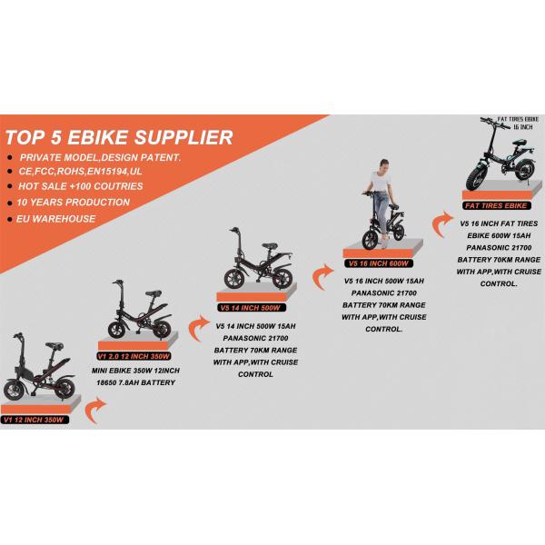 Full Suspension Rear Hub Motor Electric Bike With 48v 1000w Power And REMOVABLE BATTERY