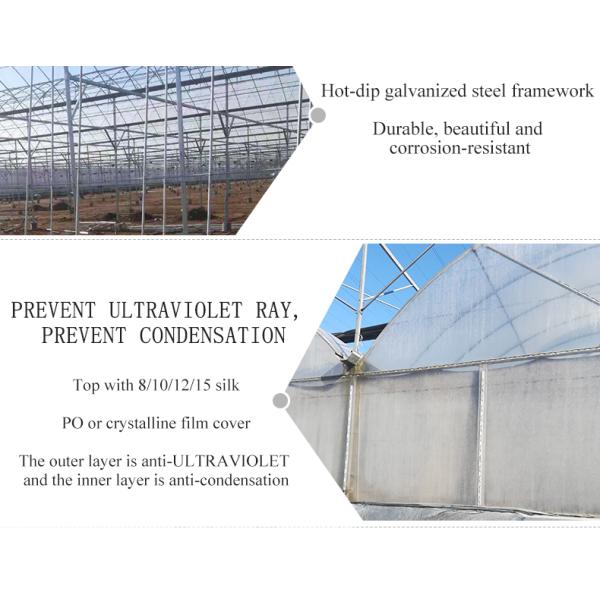 Double Layer Green House for Cultivating Vegetable Fruits and Flowers