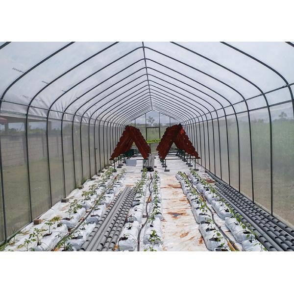 Small Galvanized Greenhouse with Reinforced Plastic Film for All-Season Growing