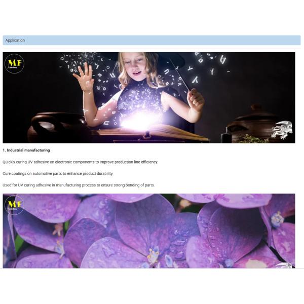 Highly Efficient UV Curing Flood Light 50W IP66 Non-Dimmable 180° Adjustable UVA 395-400nm LED Party Entertainment For Fast Resin Ink Curing