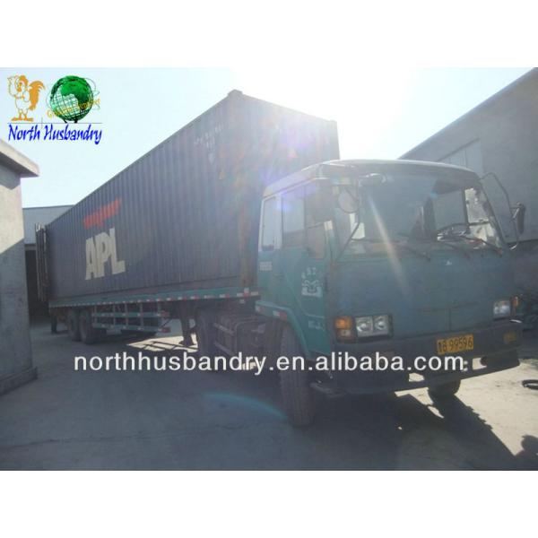 Stable Quality Greenhouse/Poultry Exhaust Fan