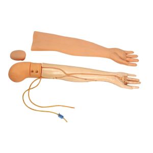 Quality Multifunctional Venipucture Puncture and Transfusion Arm Nursing Manikin GD / HS3 for sale