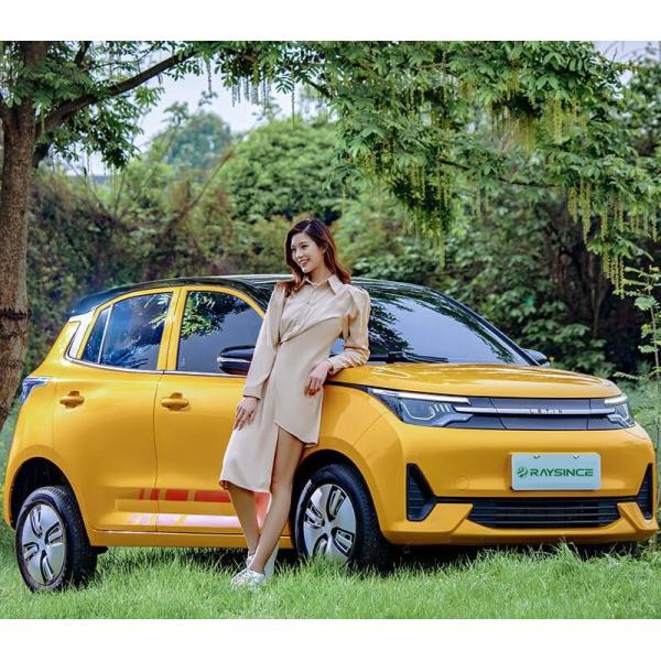 25 kw motor new style electric vehicle 100km/h high speed electric car made in China