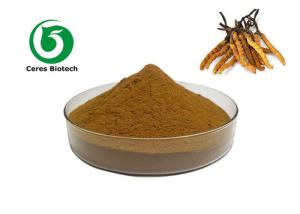 Quality Immunity Enhancement Herbal Cordyceps Sinensis Extract for sale