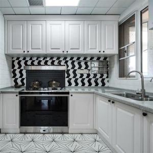 Lacquer Contemporary Kitchen Cabinets Modern Kitchen Design Cabinet