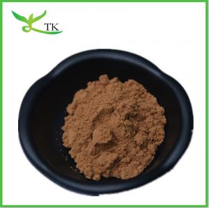 Quality 30% Polysaccharide Chaga Mushroom Extract Powder for sale