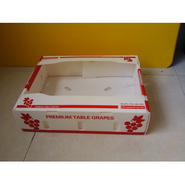 Fruit Storage Transportation Corrugated Plastic Box Polypropylene Fruit Packing Box