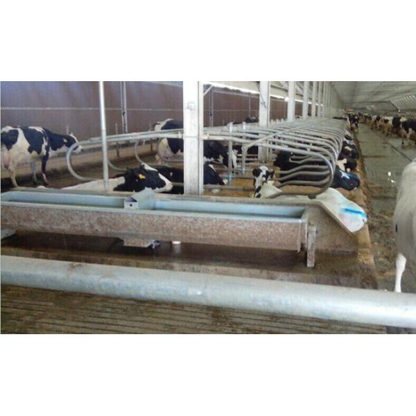 Customized Stable Cattle Farm 1.5mm SS Cow Drinking Trough