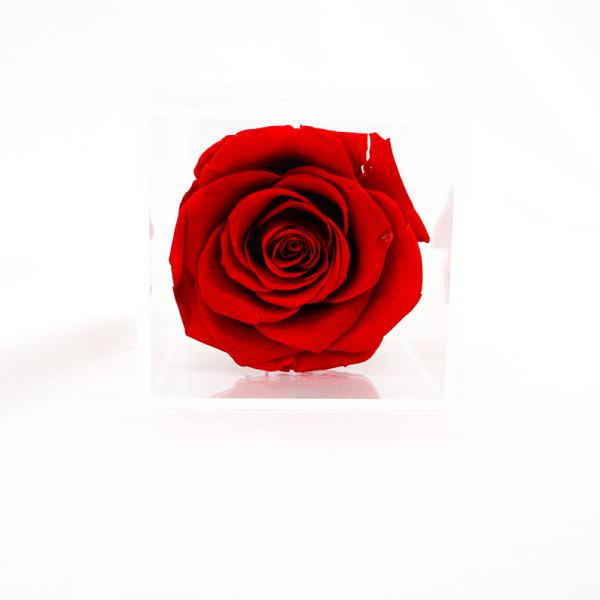 Red Preserved Rose Flower Bring Soft And Delicate Detail For Anniversary Gift
