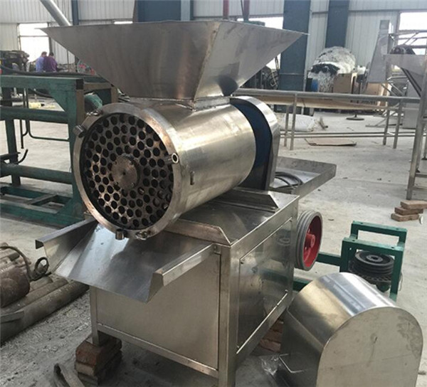 garlic paste machine, ginger paste grinding machine, onion chilli paste machine