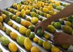 10T/H 440V Mango Puree Processing Line Flexible Operation Support
