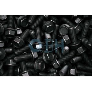 Carbon Steel B18.2.1 GR2 Flanged Hex Head Bolt